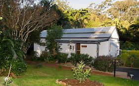 Kidd Street Cottages